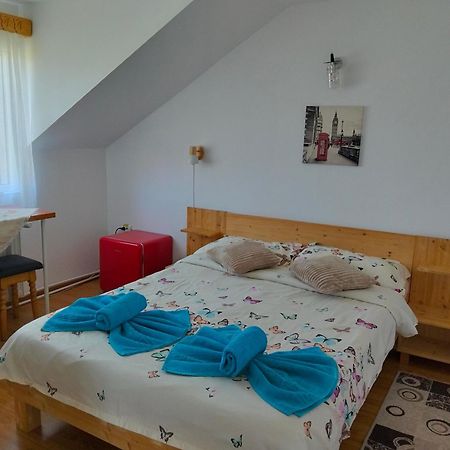 Casa Popa Ξενοδοχείο Gura Humorului Εξωτερικό φωτογραφία
